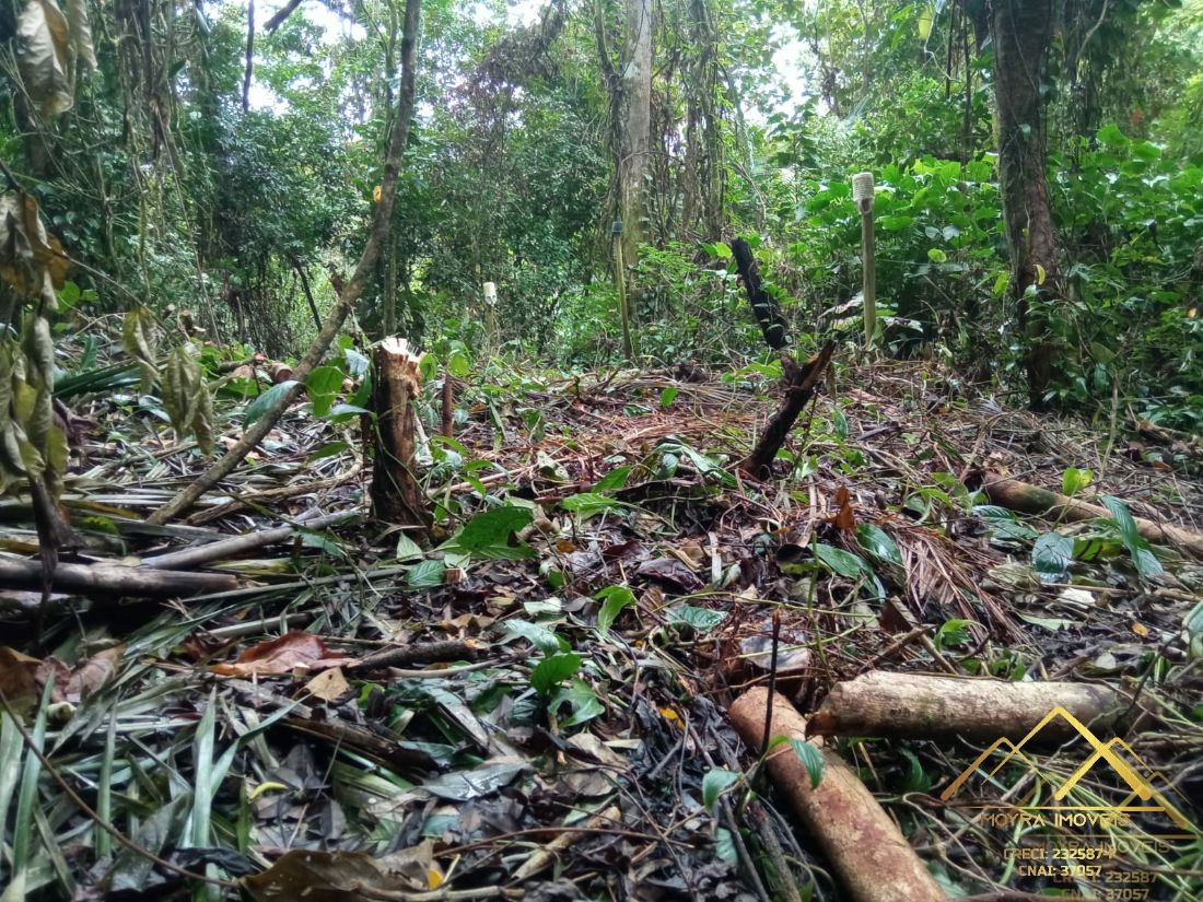 Terreno à venda, 15000m² - Foto 3